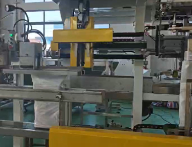 جودة  Dual-Lane Salt Packaging Machine Line - High-Capacity Salt Packaging Solution مصنع