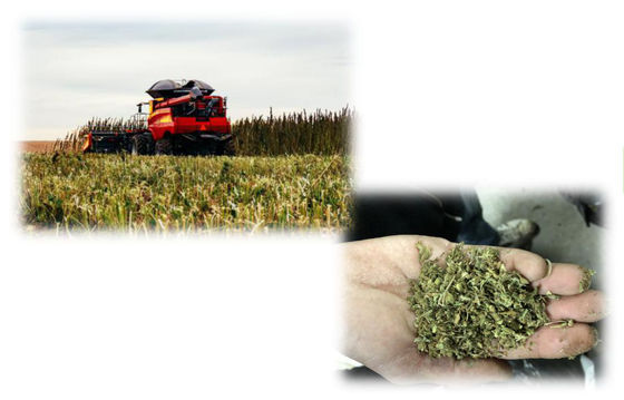 آلة استخراج CBD لاستخراج THC ، معدات استخراج CBD صغيرة الحجم